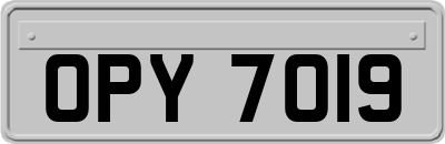 OPY7019
