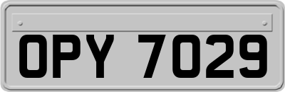 OPY7029