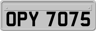 OPY7075