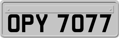 OPY7077