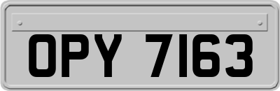 OPY7163