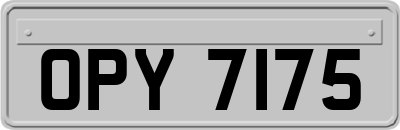 OPY7175