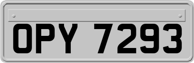 OPY7293