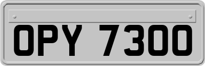 OPY7300