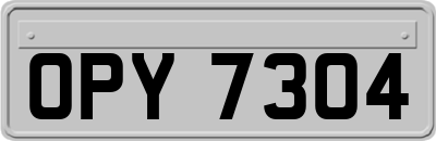 OPY7304