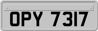 OPY7317