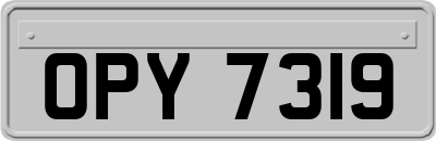 OPY7319