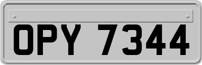 OPY7344