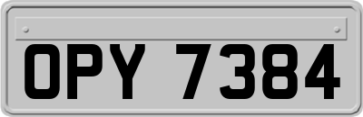 OPY7384