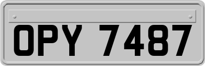 OPY7487