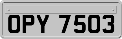 OPY7503