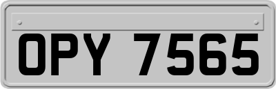 OPY7565
