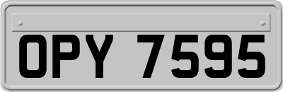 OPY7595