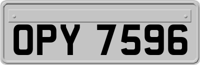 OPY7596