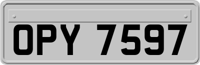 OPY7597