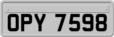 OPY7598