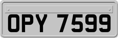 OPY7599