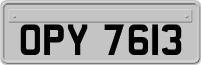 OPY7613