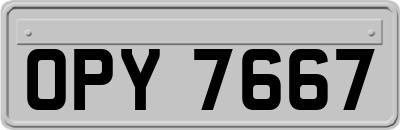 OPY7667
