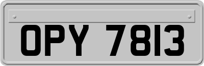 OPY7813
