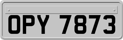 OPY7873