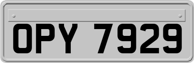 OPY7929