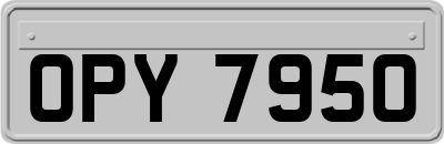 OPY7950