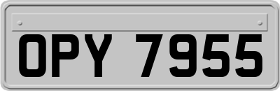 OPY7955