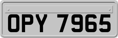 OPY7965