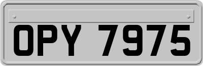 OPY7975