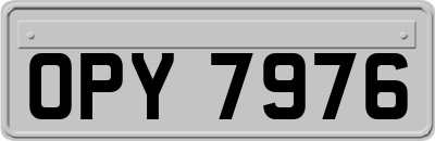 OPY7976