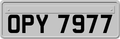OPY7977
