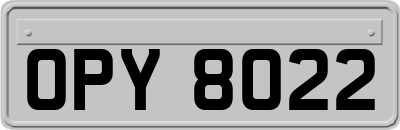 OPY8022