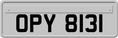 OPY8131