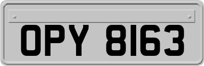 OPY8163