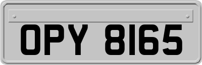 OPY8165