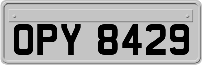 OPY8429