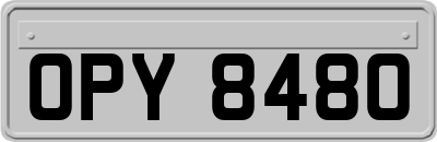 OPY8480
