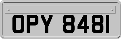 OPY8481