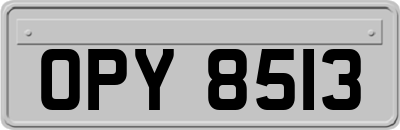 OPY8513