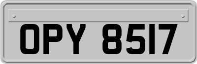 OPY8517