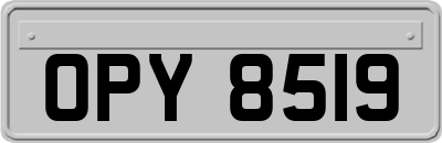 OPY8519