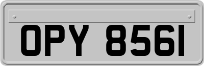 OPY8561