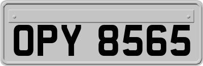 OPY8565