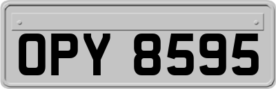 OPY8595