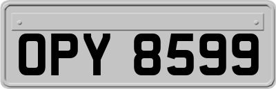 OPY8599