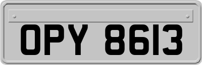 OPY8613