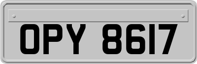 OPY8617