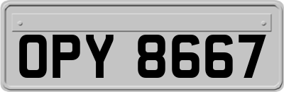 OPY8667