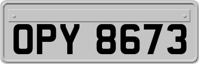 OPY8673